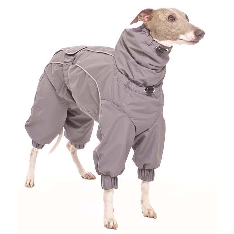 ROSE & EMET vinterdress for whippet - HouseofDogs.se