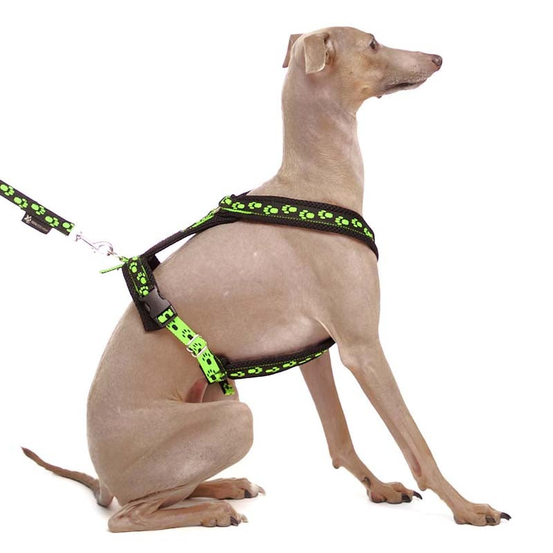 Y-sele SMALL PAWS - HouseofDogs.se