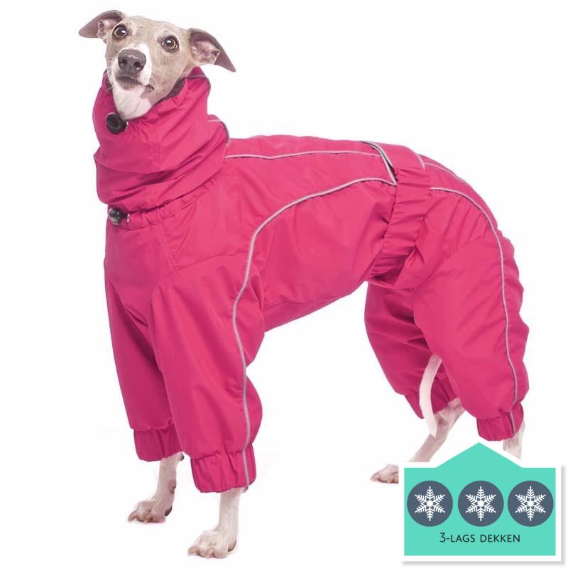 ROSE & EMET vinterdress for whippet - HouseofDogs.se