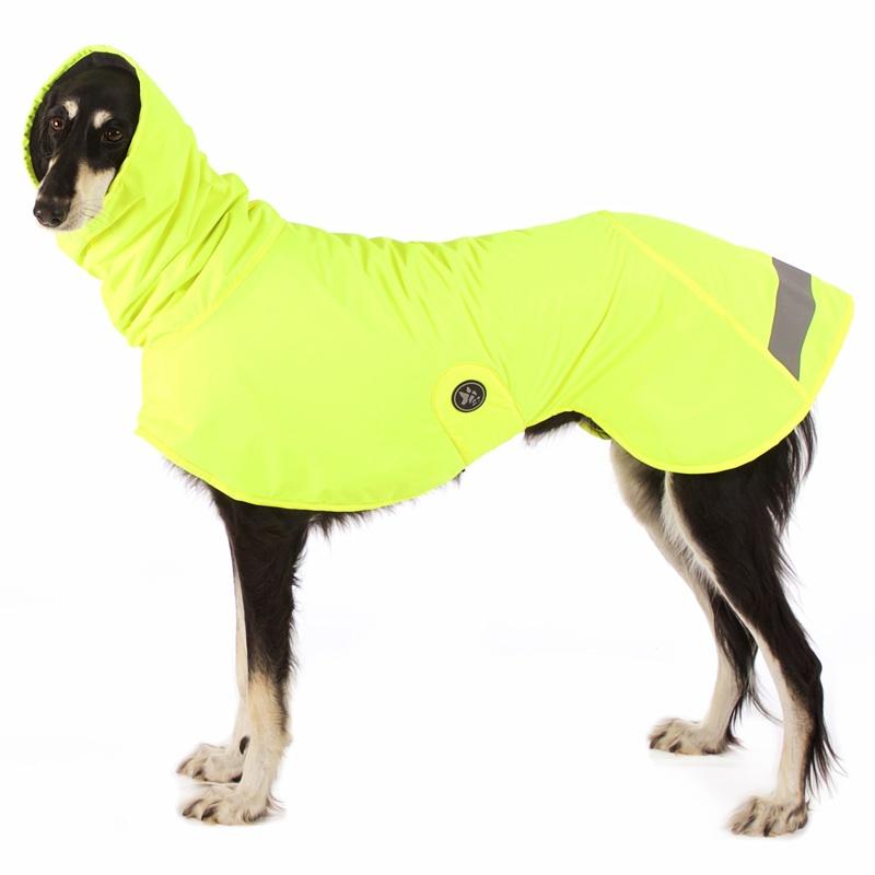 MICHAEL SNOW - HouseofDogs.se