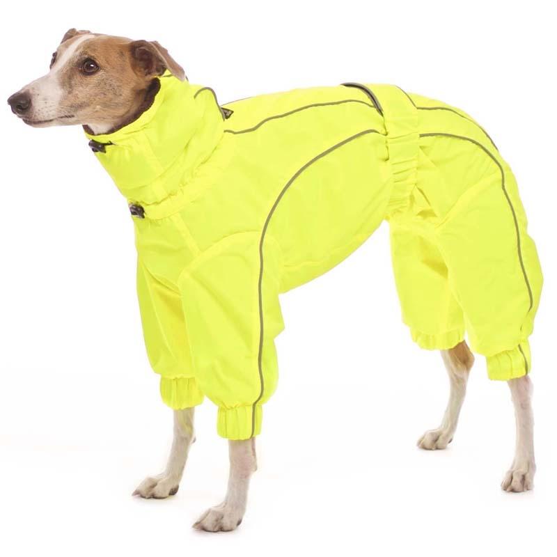ROSE & EMET vinterdress for whippet - HouseofDogs.se