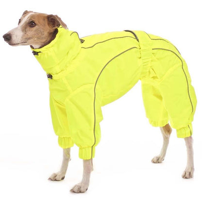 ROSE & EMET vinterdress for whippet - HouseofDogs.se