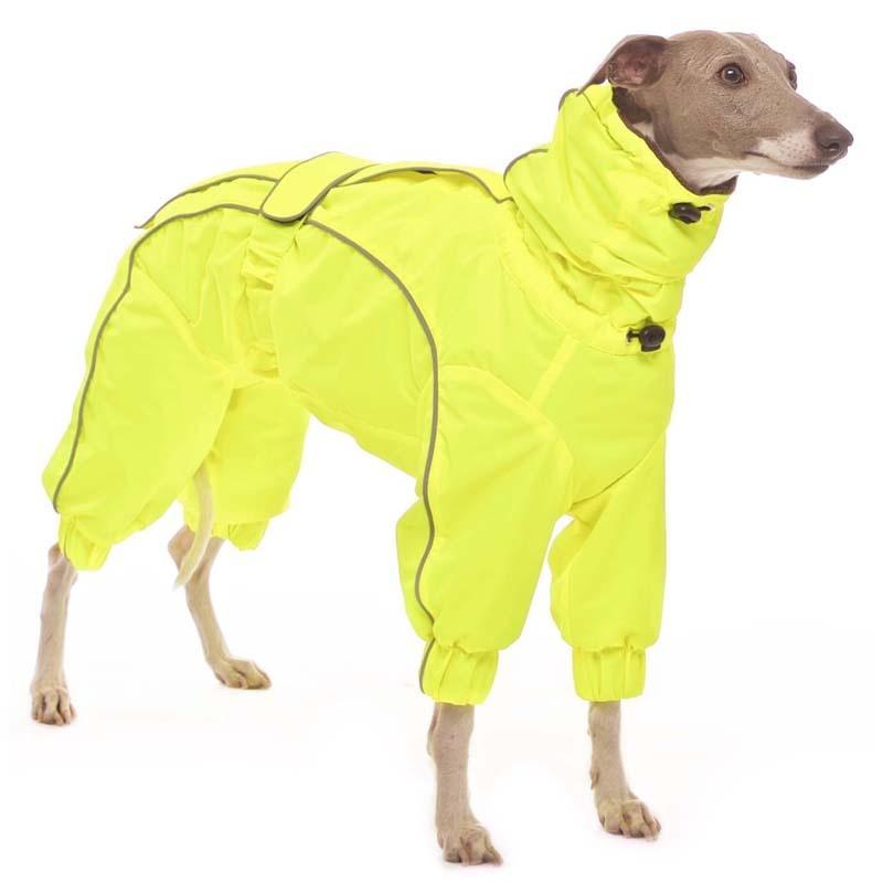 ROSE & EMET vinterdress for whippet - HouseofDogs.se