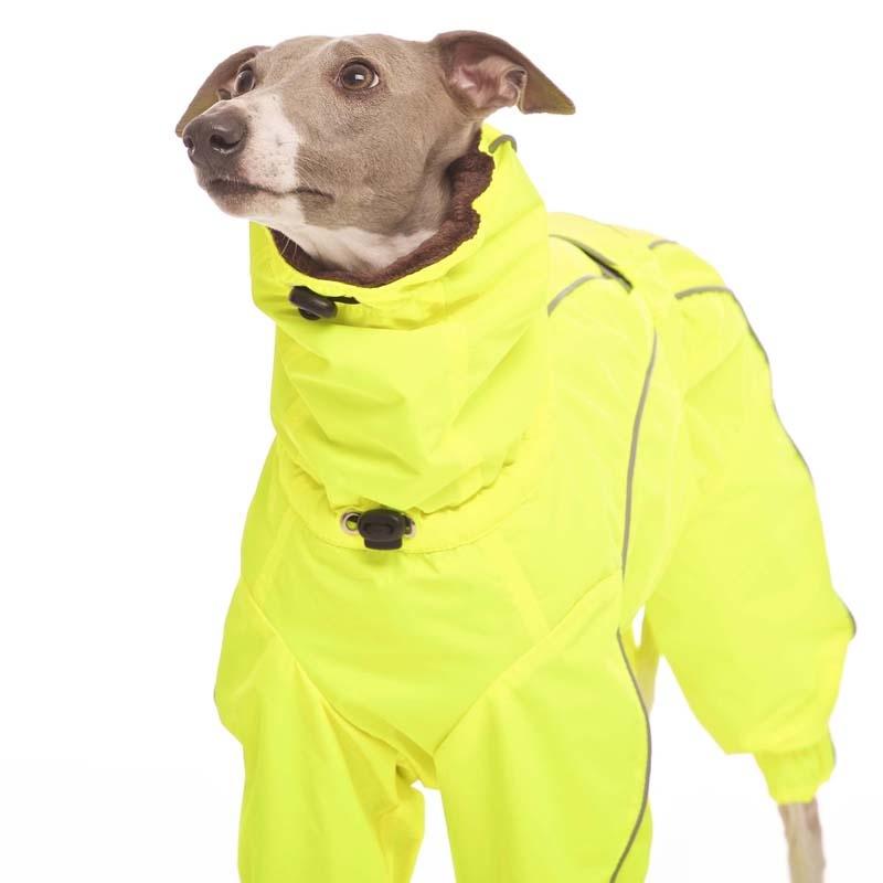 ROSE & EMET vinterdress for whippet - HouseofDogs.se