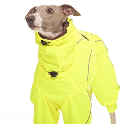 ROSE & EMET vinterdress for whippet - HouseofDogs.se