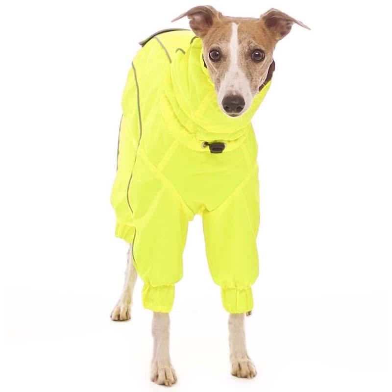 ROSE & EMET vinterdress for whippet - HouseofDogs.se