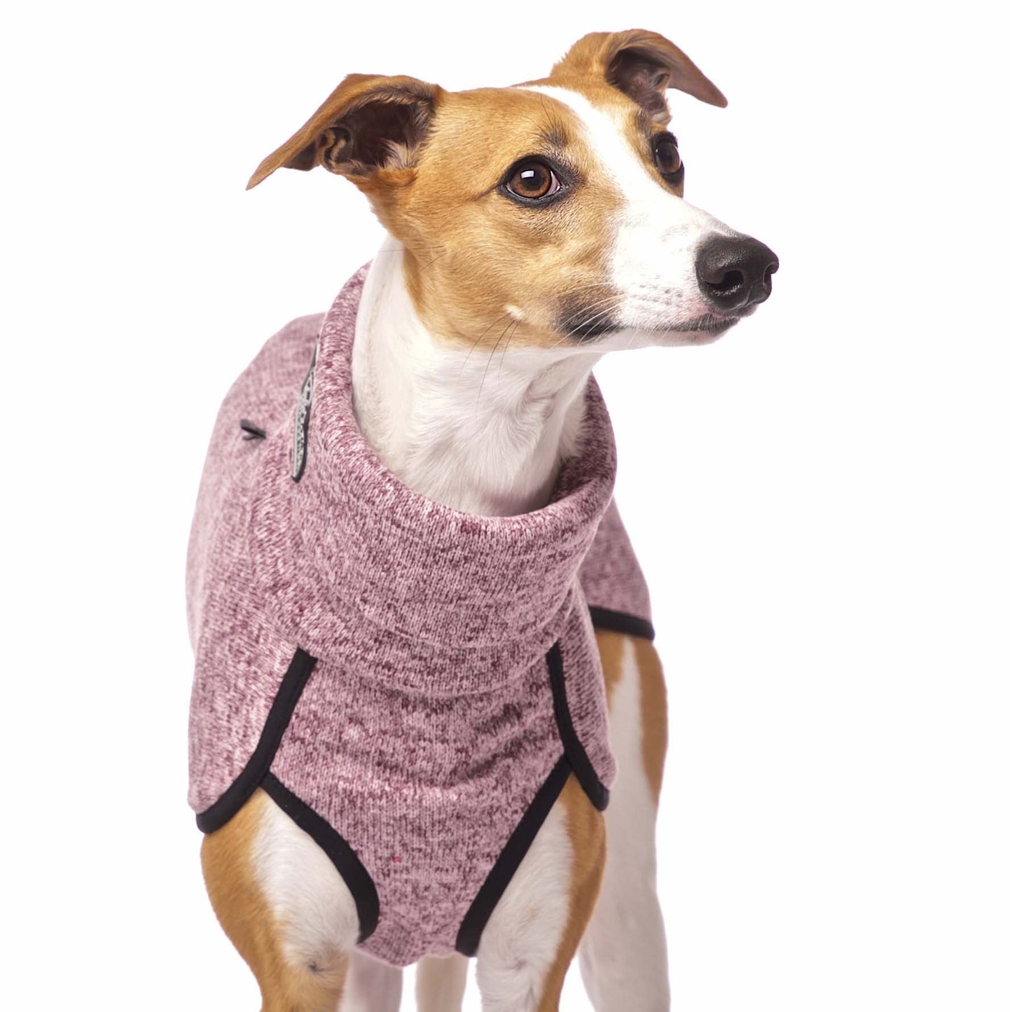 KEVIN jumper L1 - 65 cm (595685933084)