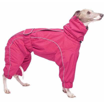 ROSE & EMET vinterdress for whippet - HouseofDogs.se