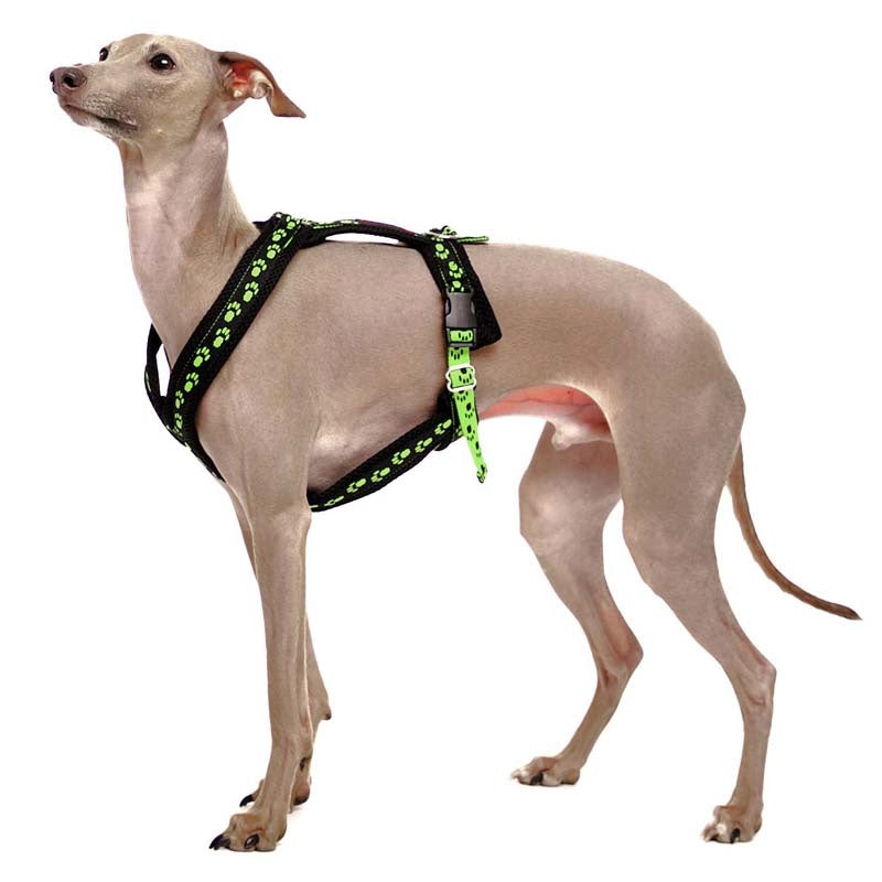 Y-sele SMALL PAWS - HouseofDogs.se