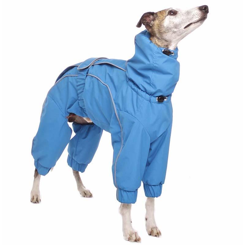 ROSE & EMET vinterdress for whippet - HouseofDogs.se