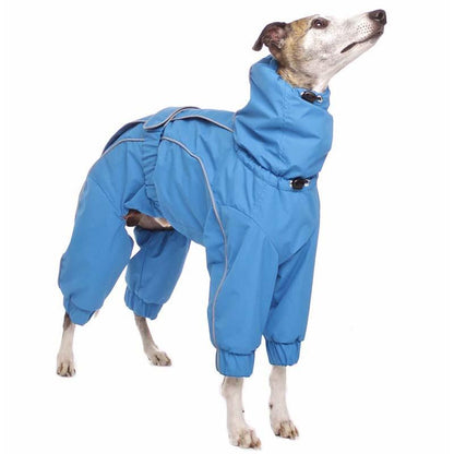 ROSE & EMET vinterdress for whippet - HouseofDogs.se