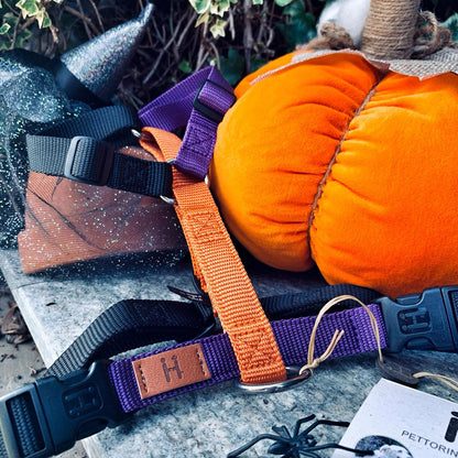 Haqihana justerbar H-sele HALLOWEEN - Begränsad upplaga