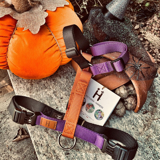 Haqihana justerbar H-sele HALLOWEEN - Limited edition - HouseofDogs.se