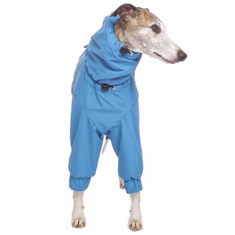 ROSE & EMET vinterdress for whippet - HouseofDogs.se