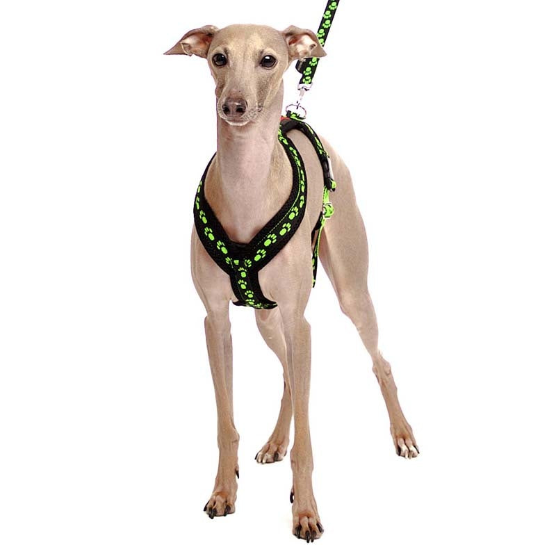 Y-sele SMALL PAWS - HouseofDogs.se