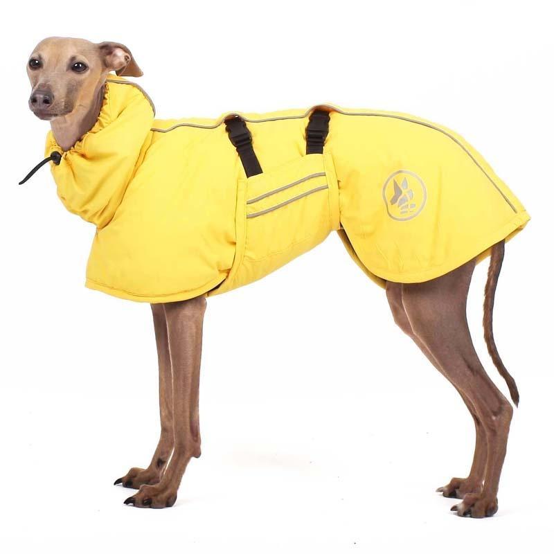 FRISTENSKI MINI vinterjakke - HouseofDogs.se