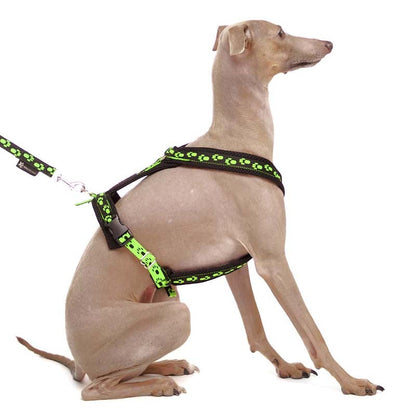 Y-sele SMALL PAWS - HouseofDogs.se