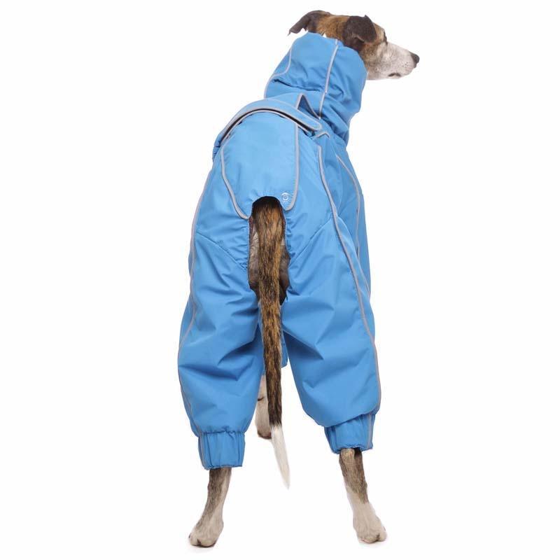 ROSE & EMET vinterdress for whippet - HouseofDogs.se