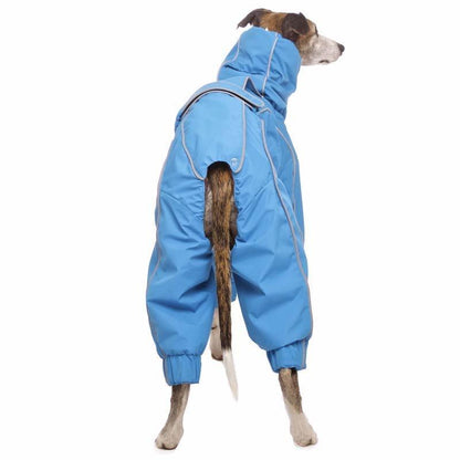 ROSE & EMET vinterdress for whippet - HouseofDogs.se