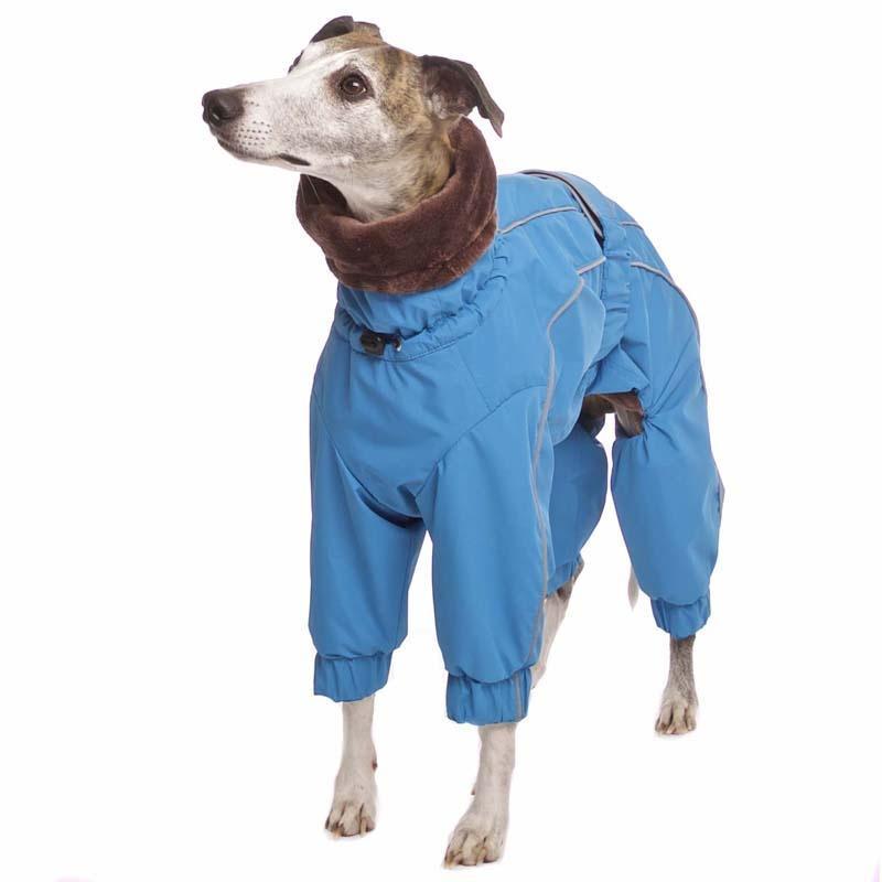 ROSE & EMET vinterdress for whippet - HouseofDogs.se