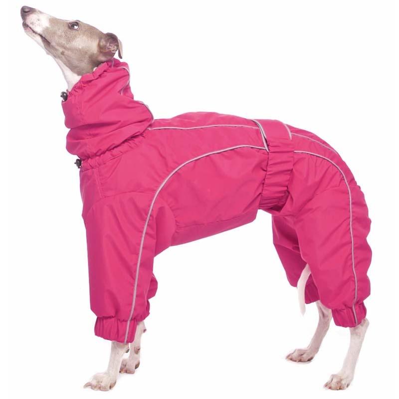ROSE & EMET vinterdress for whippet - HouseofDogs.se