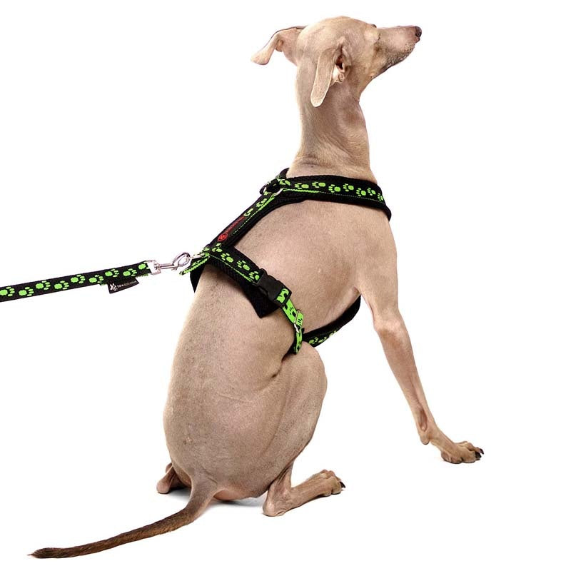 Y-sele SMALL PAWS - HouseofDogs.se