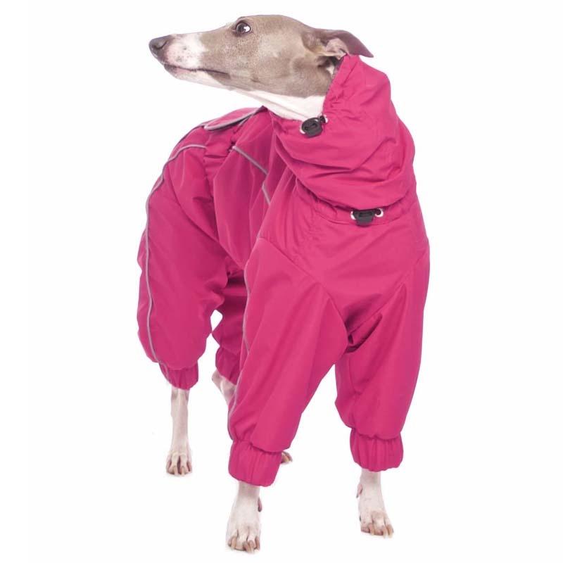 ROSE & EMET vinterdress for whippet - HouseofDogs.se