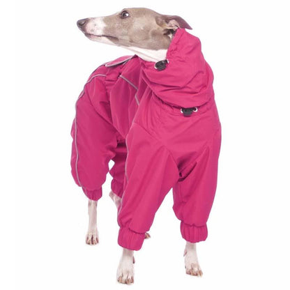 ROSE & EMET vinterdress for whippet - HouseofDogs.se