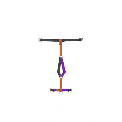 Haqihana justerbar H-sele HALLOWEEN - Limited edition - HouseofDogs.se